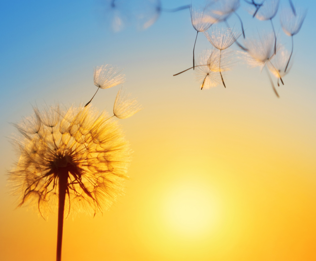 Amalthea - newsletter 10-21